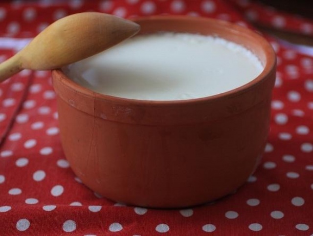 Turkish Homemade Yoghurt Recipe, How to make Turkish Homemade Yoghurt ?