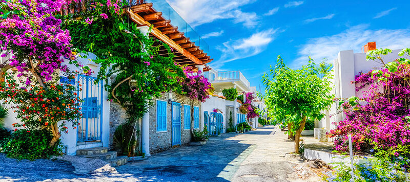 to discover Bodrum What to do in Bodrum